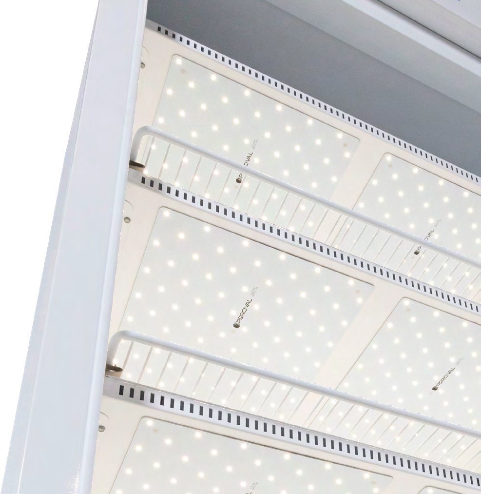 Individually lit LED tiers in a Percival AL-36L4 algae growth chamber